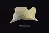 陶罐藏品圖，第2張